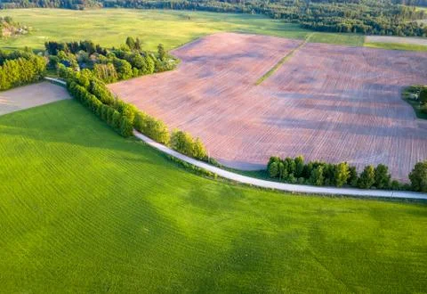 Drone Photo of the Road Between Fields in Colorful Early Spring - Surrounded Stock-Fotos