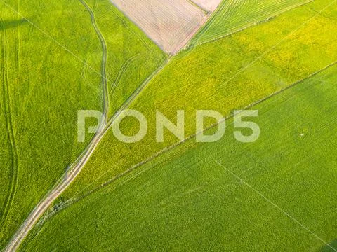 Drone Photo of the Road Between Fields in Colorful Early Spring - Surrounded Stock Photos