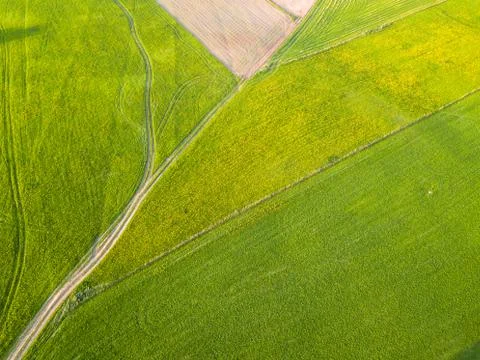 Drone Photo of the Road Between Fields in Colorful Early Spring - Surrounded Stock-Fotos