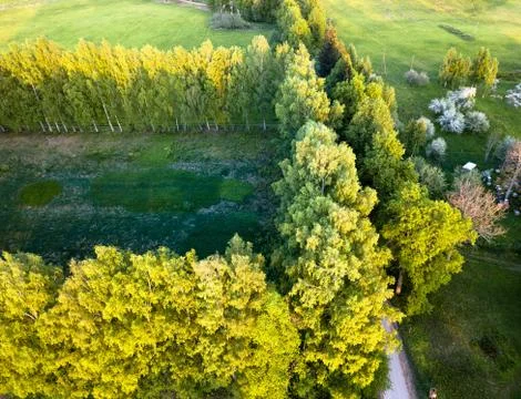 Drone Photo of the Road Between Trees in Colorful Early Spring - Surrounded w Stock Photos