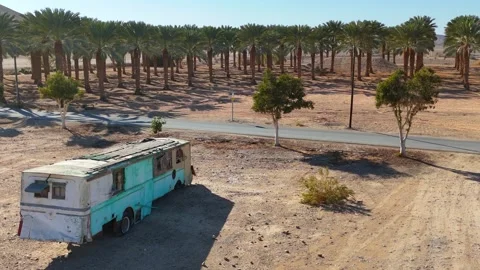 Drone photography capturing palm trees scattered across a vast desert Video stock 296577350