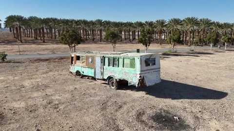 Drone photography capturing palm trees scattered across a vast desert Stock Footage 296577399