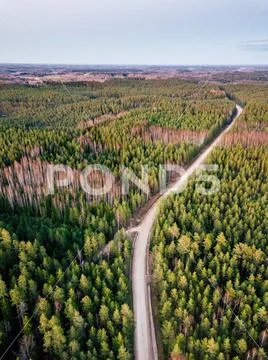 Drone Photography of a Road Between Woods in Spring Stock Photos