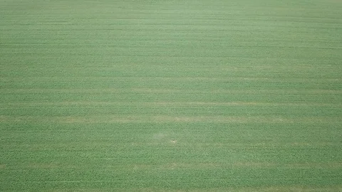 Drone Pilots And Green Fields Stock Footage 97852539