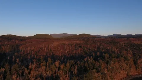 Drone of pine forest in autumn backs out to over sea Video stock 126998599