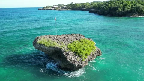 Drone-playa-caleton-palm-trees-beachfront-03 Video stock 314466471
