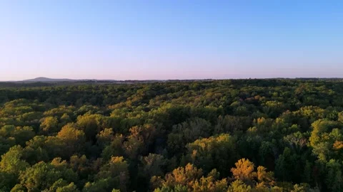 Drone Pnod5 Video stock 219297656