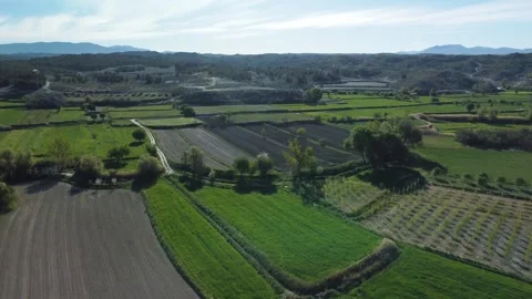 Drone point of view on agriculture fields Stock Footage 273224976