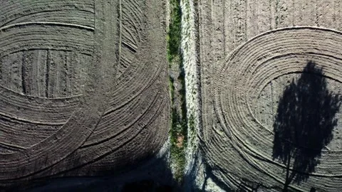 Drone point of view on agriculture fields Video stock 273225644