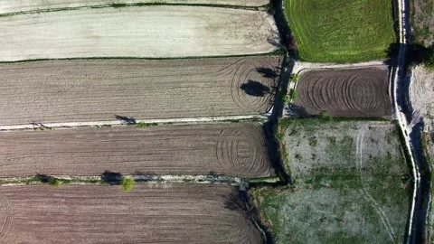 Drone point of view on agriculture fields Video stock 273226018