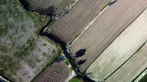 Drone point of view on agriculture fields Video stock 273289986