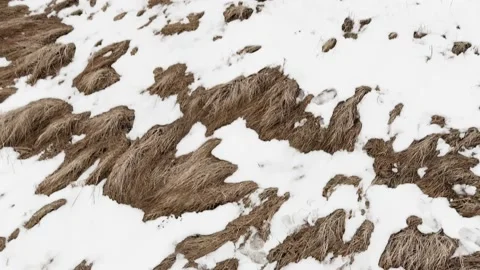 Drone point of view during landing procedure on pasture grass and blue landing 動画素材 151740666