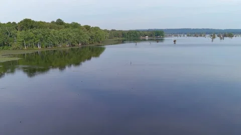 Drone point of view footage low and fast across Lake Conway. Stock Footage 202173511