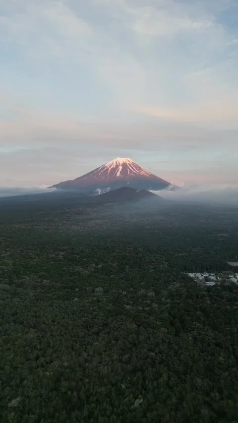 Drone point of view mt.Fuji and Aokigahara forest Stock Footage 275079962