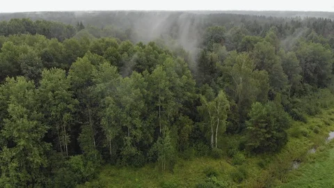Drone point of view over the tops of misty evergreen trees in cloudy weather Stock Footage 121758217