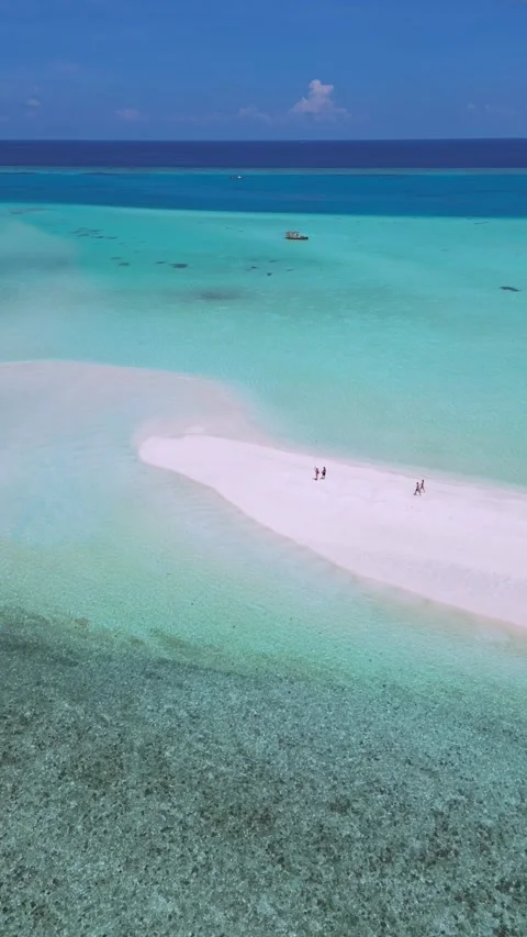 Drone point of view at people walking at sandbar.Vertical video Stock Footage 305630048