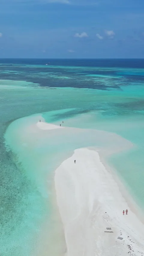 Drone point of view at people walking at sandbar.Vertical video Stock Footage 305630132