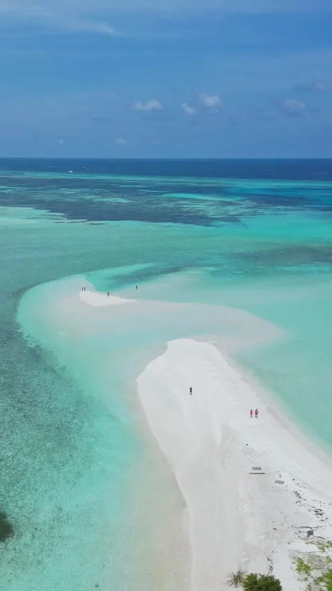 Drone point of view at people walking at sandbar.Vertical video Stock Footage 305630138