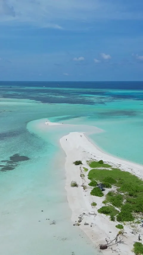 Drone point of view at people walking at sandbar.Vertical video Stock Footage 305630141