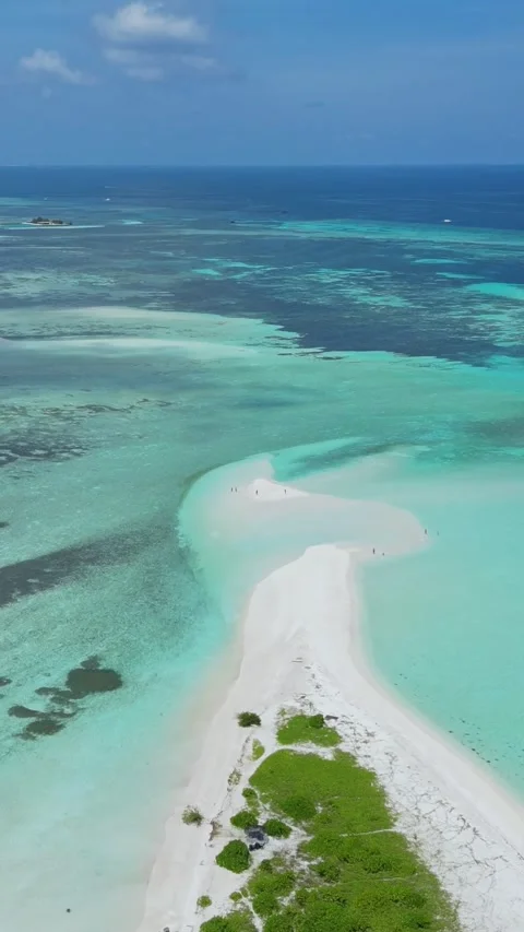 Drone point of view at people walking at sandbar.Vertical video Stock Footage 305630166