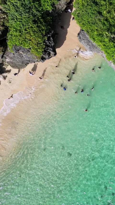 Drone point view at seaside of tropical island at sunny day Stock Footage 311940880