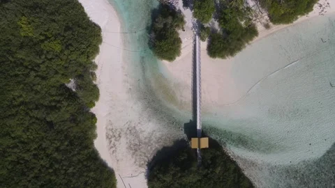 Drone point of view at suspension bridge Stock Footage 304026746