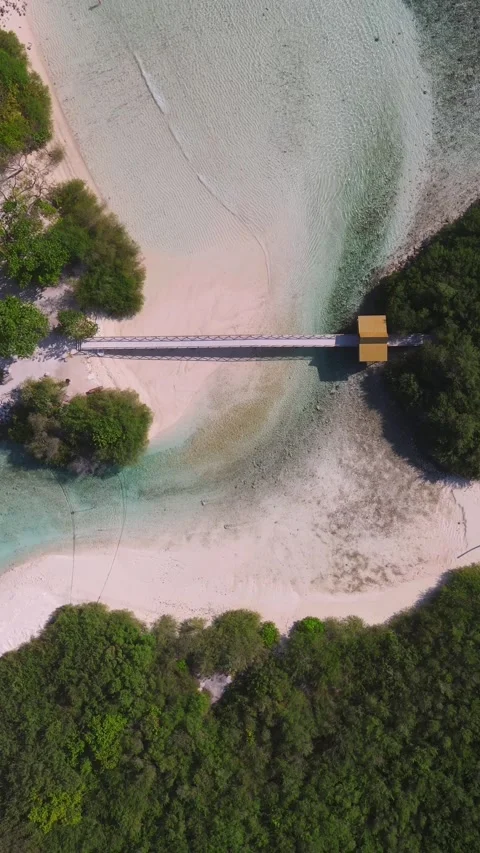 Drone point of view at suspension bridge.Vertical video Stock Footage 304026729