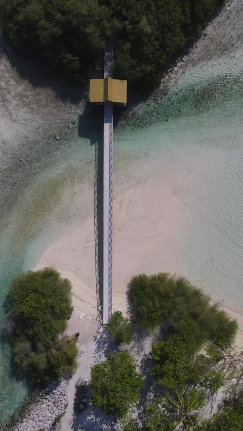 Drone point of view at suspension bridge.Vertical video Stock Footage 304026748
