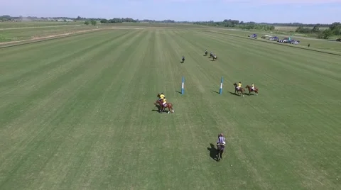 Drone Polo match scene. Vídeo Stock 59803527