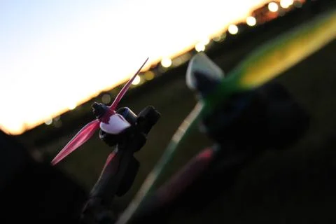 Drone Propellers Stock Photos
