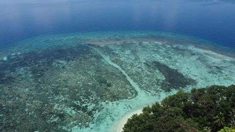 Drone Pull Away Move of Coral Reef and Open Sea Coastline in Indonesia Stock-Footage 332201242