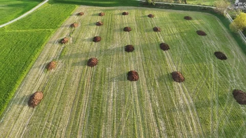 Drone pull away reveals manure piles for soil fertilization with Olza village Stock Footage 309271949