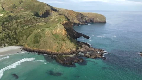 Drone pull back flying over Sandfly Bay beach and coastline in New Zealand Stock Footage 325858939