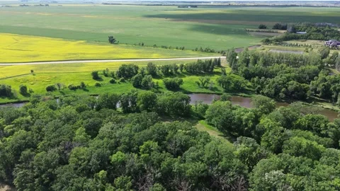 Drone pull-back revealing a summer landscape with river and colorful fields. Stock Footage 312528022