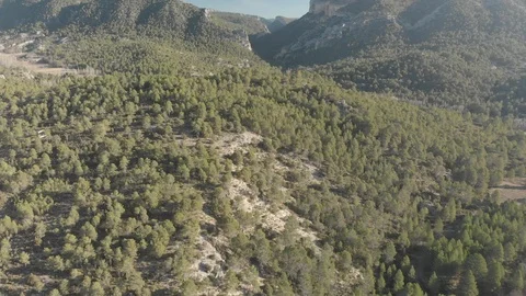 Drone Pull Back River Reveal Video stock 103378600