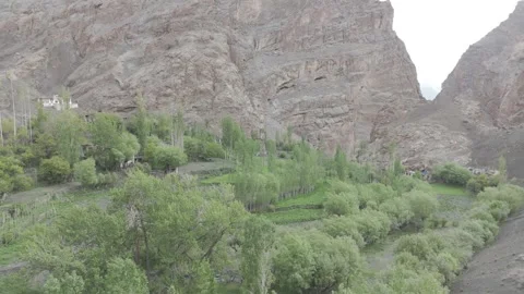 Drone Pull Out Shot Revealing Ladakh Mountains and a Lush Green Forest in a Stock-Footage 334401067