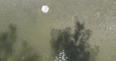 Drone Pull Out Wide Bird's Eye View of River Water Grass and Forest / Woods Stock Footage 149518869