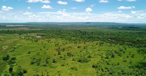 Drone pullback above cerrado grassland and wet savanna near Arinos Minas Gerais Video stock 334968539