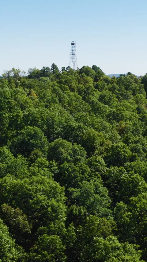 Drone pullback from Devils Knob Lookout tower Stock Footage 325690199