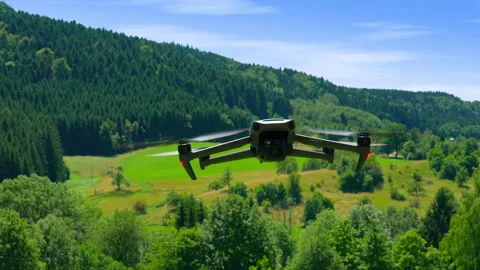 Drone pullback in front of forest with hills and green summer landscape Stock Footage 315741969