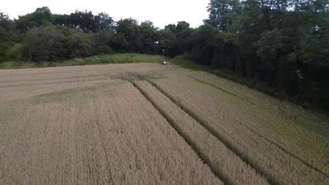 Drone Pullback Men with Dog: Reveal of British Countryside on Cloudy Day Stock Footage 282739668