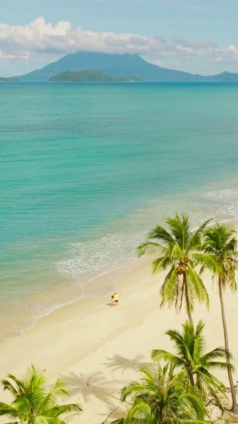 Drone Pullback Over Palms And Couple Nagtulay Beach Palawan Vertical Shot Stock Footage 334727901
