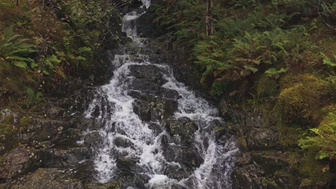 Drone Pullback Over Rocky Forest Stream in Norway Stock Footage 345759309