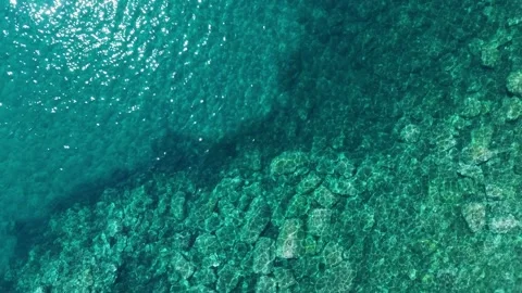 Drone Pullback Over Submerged Rocks and Turquoise Sea Stock Footage 340508411
