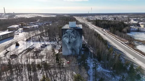 Drone Pullback Reveal Robert Bateman Wolf Mural Thompson Manitoba Winter City Видео 331769856