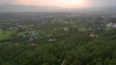 Drone pullback reveal shot above lush forest canopies capturing the glowing.. Video stock 345278663