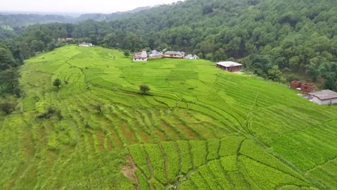 Drone Pullback Revealing Expansive Stepped Rice Farms and Rural Village Hou.. Stock-Footage 345277139