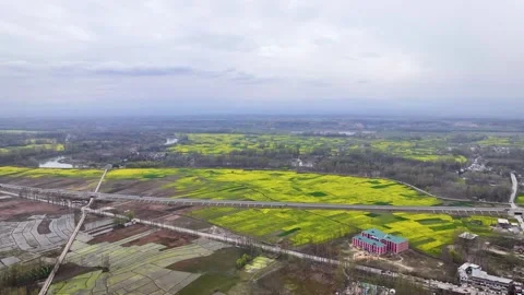 Drone pullback revealing Pampore Mustard farmlands, highway in Kashmir valley 库存影片 333794853