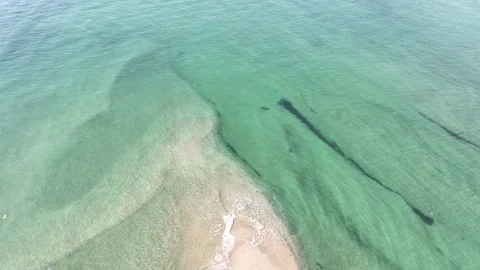 Drone Pullback of Sandbar and Seabirds, Coastal Landscape Stock Footage 312439334