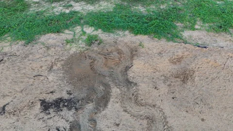 Drone Pullback from Sea Turtle Tracks. Stock Footage 339085603